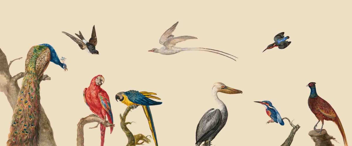 Ellie White Fine Art Prints